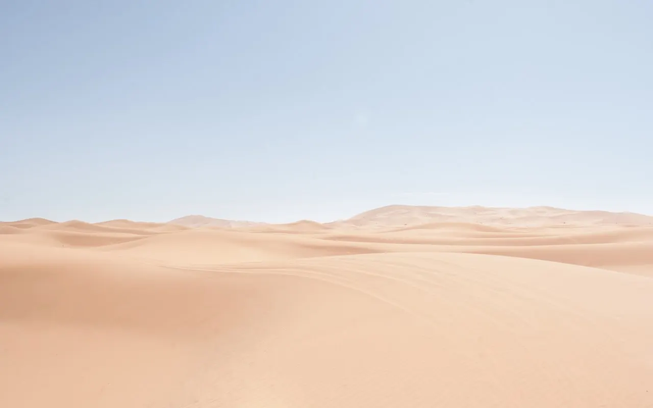 A rolling landscape under evening light