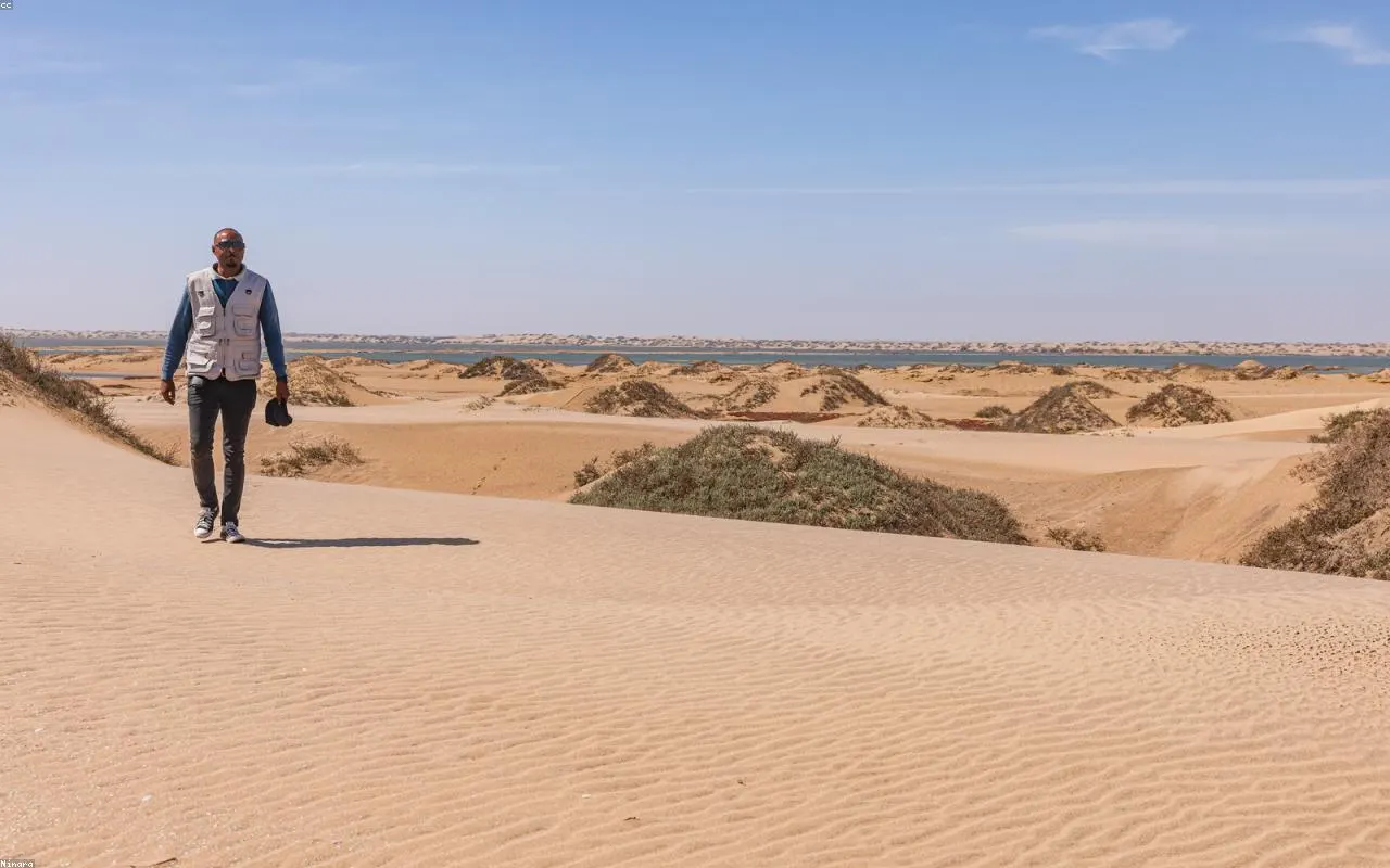 Sunlit dunes stretching to the horizon