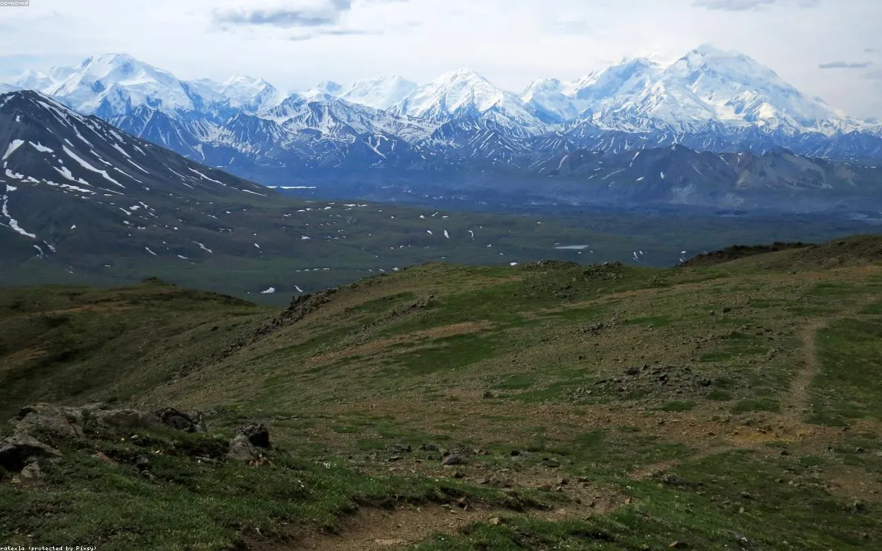 A quiet path winding through mist-covered mountains