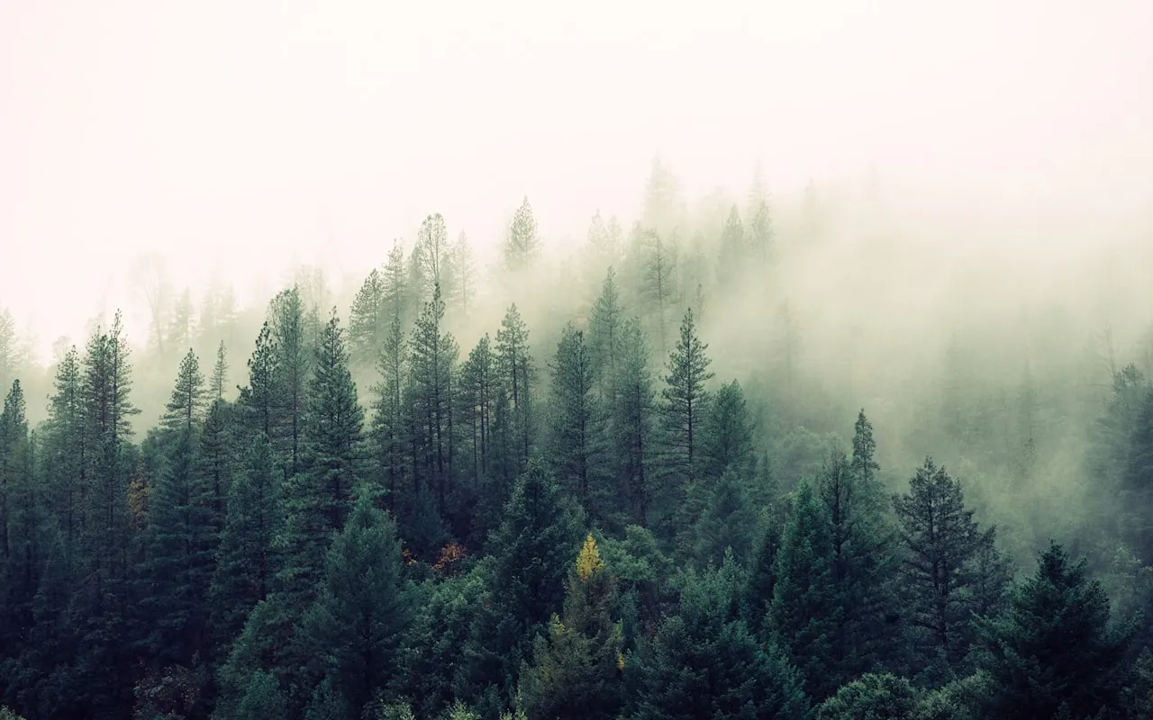 Mountains rising above a quiet valley