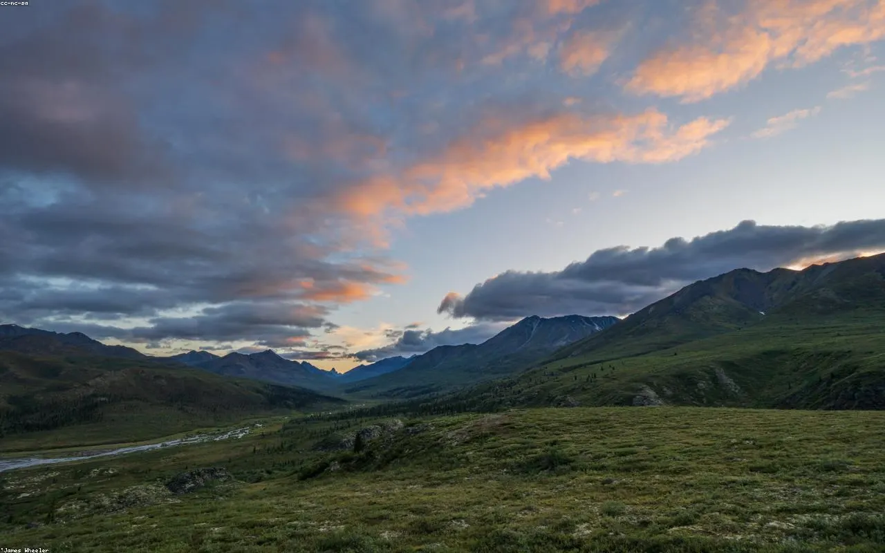 A quiet hillside at sunrise